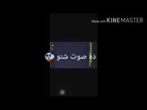 فضيحة الاعلامية لوشي المباركة 