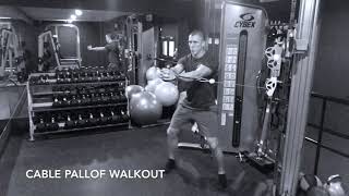 Cable Pallof Walkout - Upside Strength Exercise Library