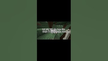 Tất cả các loài chó sói trong Mincraft 1.21 #minecraft #minecraftshorts#shorts