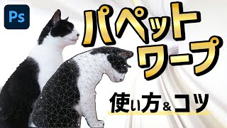 [Photoshop tutorial] How to use Puppet Warp and tips [Photo editing] Pose transformation too! screenshot 3