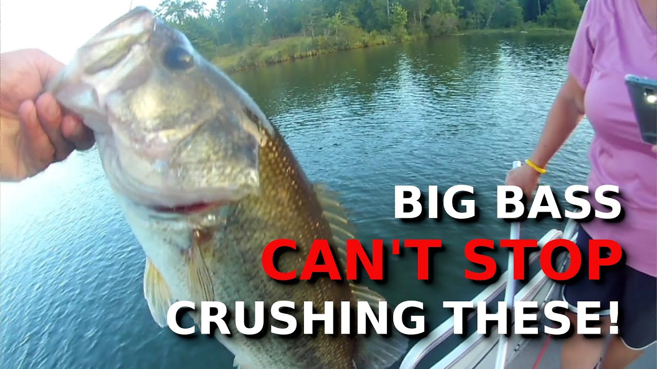 How Pros Use Texas Rigs To CHEAT At Bass Fishing!!!!!