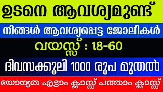 Job Vacancy Kerala Today 2025 Latest Job Vacancy In Kerala
