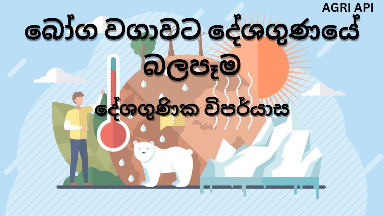 දේශගුණික විපර්යාස | බෝග වගාවට දේශගුණයේ බලපෑම | Agri Api - YouTube