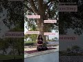 Meditation 🧘‍♀️ #Motivation #meditation #mindfulness #peacefullsong #zen #zenmusic