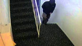 Fatal Shooting Suspect Entering East Lansing Apartment Complex