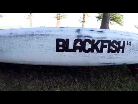 INFINITY BLACKFISH Stand up paddle board