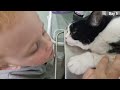 Middle of video