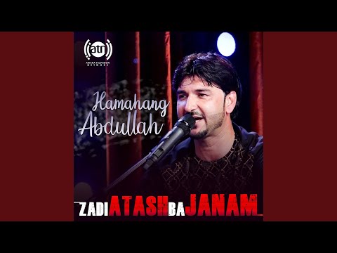 زدی آتش به جانم