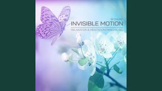 Invisible Motion
