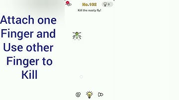 Brain Out Level 102 kill the nasty fly