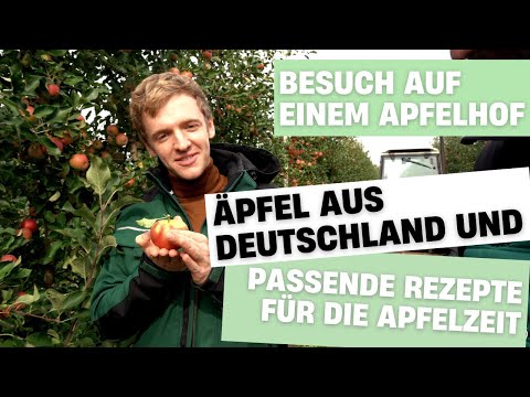 Video: Rezept Für Eingeweichte Äpfel