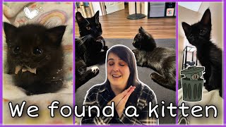 I Can't Believe This Happened! KITTEN RESCUE by Kawaii Tako 7,030 views 1 year ago 14 minutes, 49 seconds