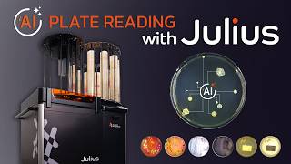 Sorting and reading 700 Petri dishes in an hour: Meet Julius!