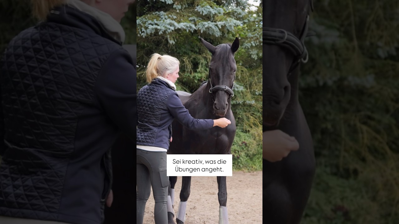 Pferdephysiotherapie für jeden Tag 