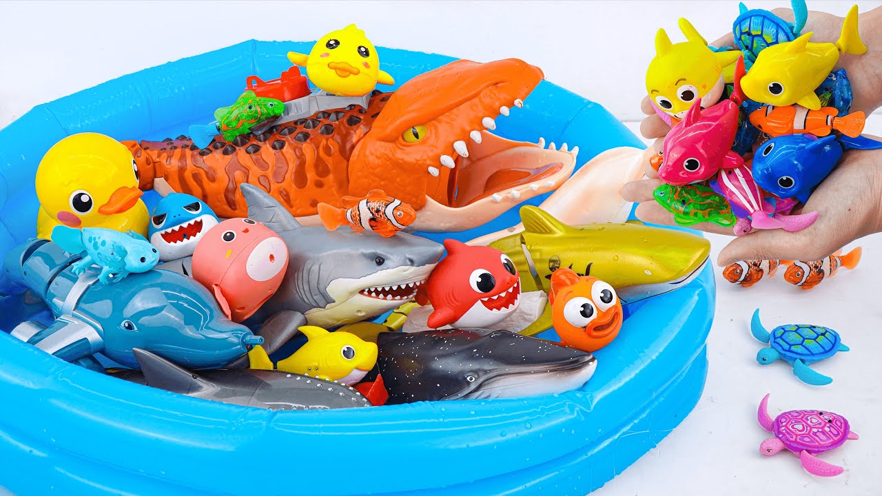 [🐳Toy asmr🐳] Mosasaurus & Pink Dolphin & Nimo Fish & Aquarium ASMR ...