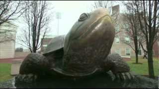 Exclusive Drug Tests Joke As Players Bulk Up