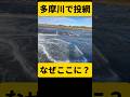 多摩川で投網を投げたらあの魚が…#shorts #投網 #大物