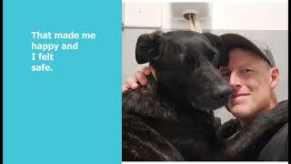 Can These Dogs Find Their Forever Homes?