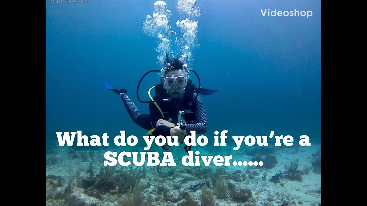 Pregnant SCUBA diver snorkels while family and friends dive YouTube