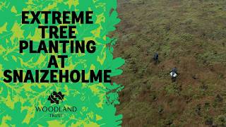 Extreme Tree Planting at Snaizeholme -  Feb 2026