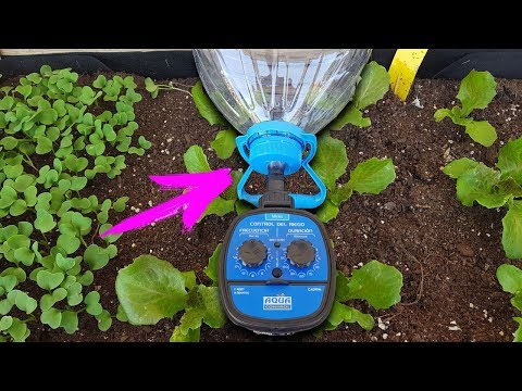 FORGET ABOUT WATERING YOUR PLANTS OR GARDEN WITH THIS SYSTEM