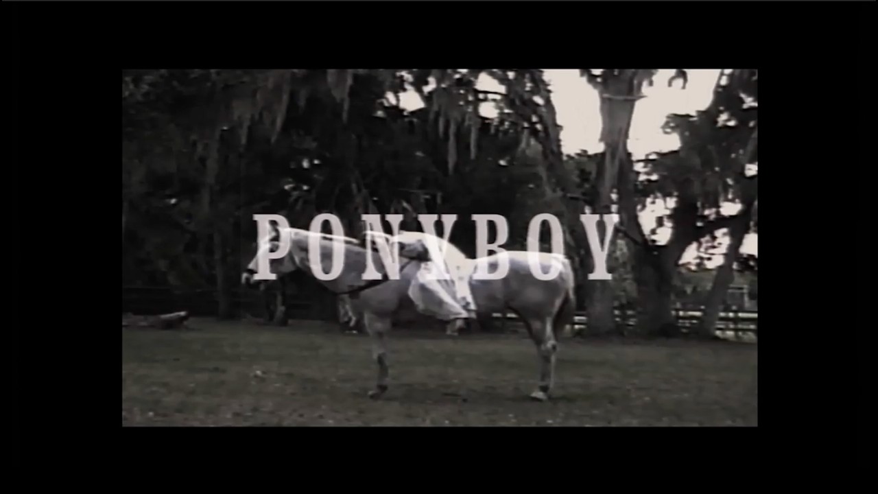 Watch Royal & the Serpent - Ponyboy (Lyric Video) on YouTube Watch Royal & the Serpent - Ponyboy (Lyric Video) on YouTube