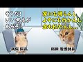 入院費を払わない患者に病院がとった異次元の解決策とは!?【猫ミーム】【猫マニ】