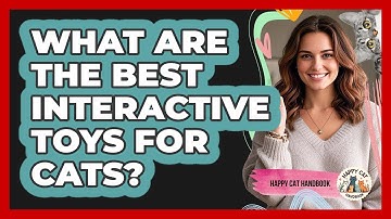What Are The Best Interactive Toys For Cats? - Happy Cat Handbook