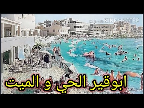 ابوقير البحر الحي و البحر الميت