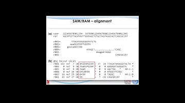 IU-G788, Next Generation Sequencing, 2017, Lecture 02, Part 3
