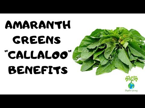 Video: Je callaloo amarant?