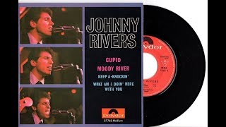 Video thumbnail of "Johnny Rivers   Moody rivers         1965"