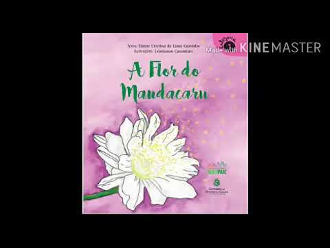 🎧📖📚A FLOR DO MANDACARU #LIVROINFANTIL #LIVROS GRÁTIS #LITERATURAINFANTIL  #ÁUDIOBOOK - thptnganamst.edu.vn