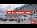 What is it like to Cruise Today?