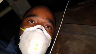 Do It Yourself Mold Remediation