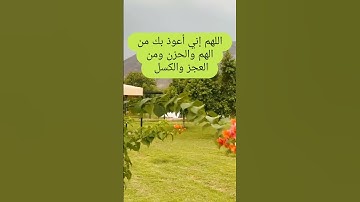 #اكسبلور #اذكار_الصباح #صباح_الخير_يا_مصر
