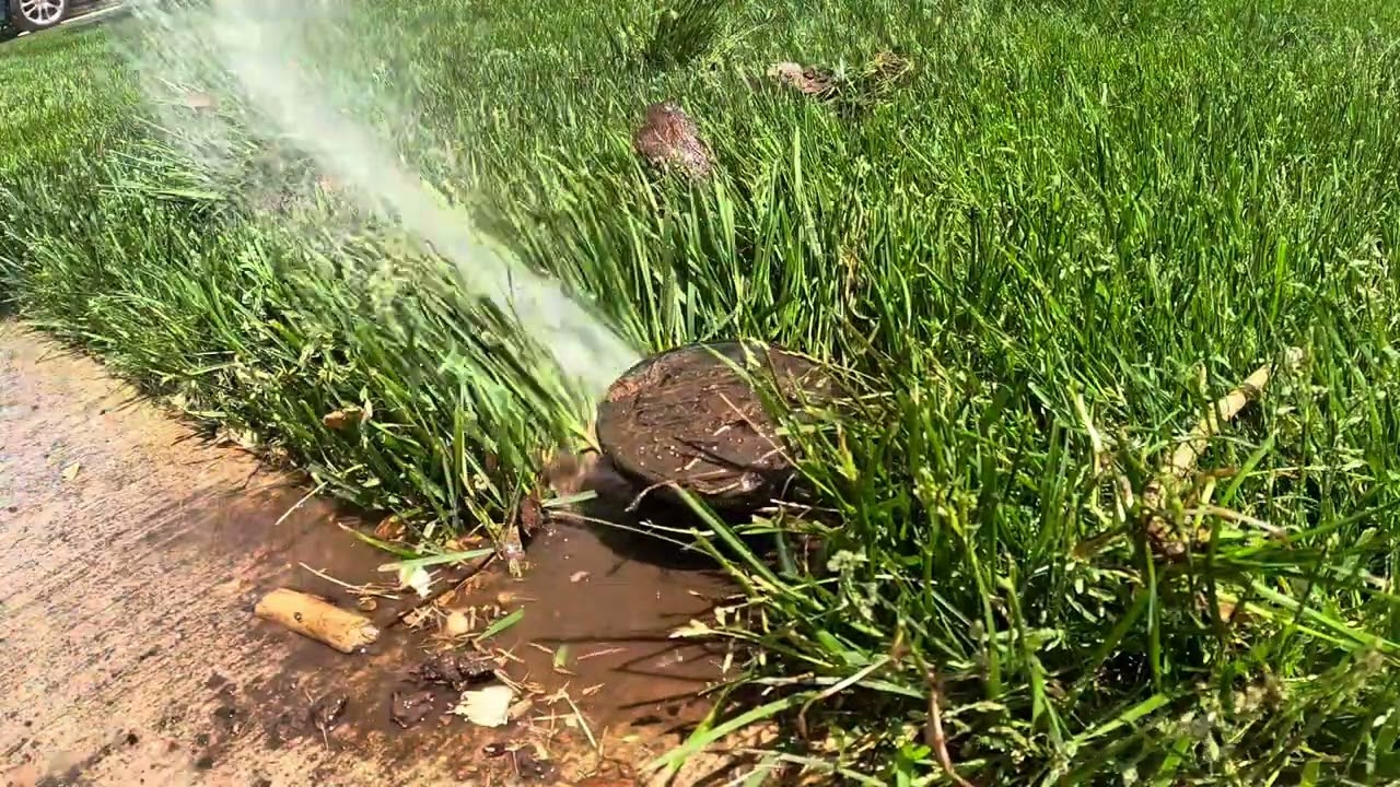 Как чистить и настраивать Rain Bird Maxi-paw