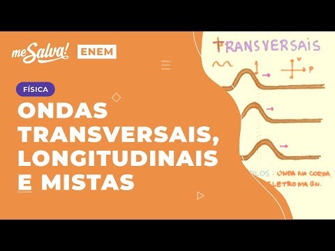Vídeo: Diferença Entre A Seção Longitudinal E Transversal