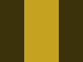 LEMON CURRY SCREEN | Solid Color Background | CCA01D #shorts