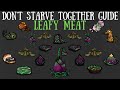 Don't Starve Together Guide: Leafy Meat/Leafy Meat Farms (?)