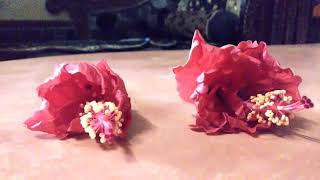 Hibiscus Flowers blooming time lapse screenshot 2