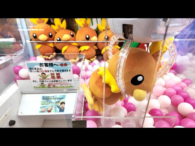 【クレーンゲーム】ポケットモンスター めちゃもふぐっとぬいぐるみ～アチャモ～ぬいぐるみとHUNTER×HUNTER ぬーどるストッパーフィギュア  ーヒソカーをゲット！【沼動画です】