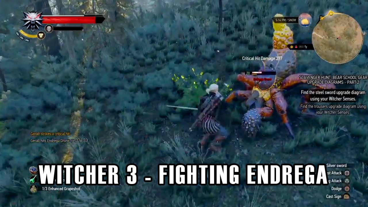 The Witcher 3: Wild Hunt - Fighting Endrega