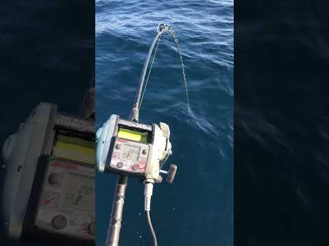 Pesca Profundo -Goraz