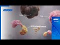 BiTE&reg; Immunotherapy: The Next Generation of Cancer Treatment