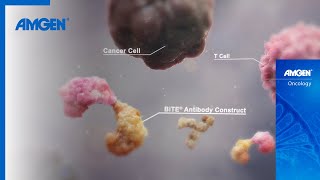 BiTE® Immunotherapy: The Next Generation of Cancer Treatment