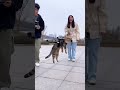 Drone cat