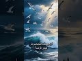 البابا شنودة توبي يا نفسي مادمتي في الأرض ساكنة البابا شنودة توبي يا نفسي مادمتي في الأرض ساكنة