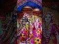 राधारानीजी ने जो गहने पहने थे वो कोनसे देवता थे🙏🏻🌺#theobscurebansuri#ytshorts#radharadha#harekrishna