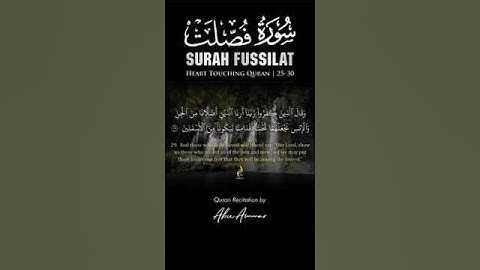 Surah Fussilat سورة فصلت v.29 #dailyquran #quranwithtranslate #dailyqurantilawat
